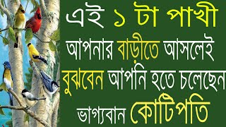 এই ১ টা পাখিই পারে এইভাবে আপনাকে বড়লোক করে দিতে