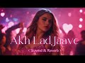 Akh Lad Jaave (Slowed & Reverb) | Loveyatri | Aayush S | Warina H | Badshah