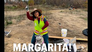 Celebrating Margarita's 300th Cleanup!, 12/17/23