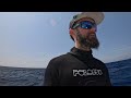 spearfishing tournament insane mutton spawn king of the reef