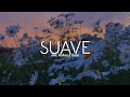 Alok, Matheus & Kauan - Suave | (Letra/Legendado)