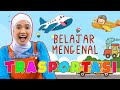 Mengenal ALAT TRASPORTASI untuk Balita dan Anak Anak dengan lagu lagu interaktif | Hai Kids