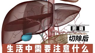 胆囊切除后，生活中需要注意什么@168Health