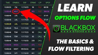 Begin MASTERING Options Flow and Filters with BlackBoxStocks