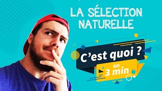 La Sélection Naturelle, c'est quoi en 3 minutes ? Définition, exemples… L'évolution vulgarisée