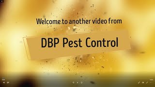 DBP Pest Control - Foxing and rabbiting session