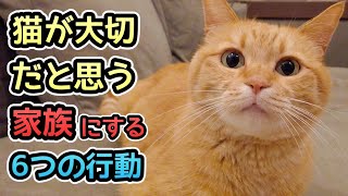 【大切な存在】猫が家族だと思う人にだけ見せる6つの行動