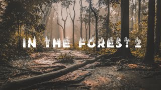 In The Forest 2 - Acoustic Background Music (Royalty Free)