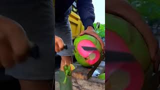 OMG Pink Coconut #shortvideo #shots #during #mango #grab #fruit #fresh #asmr #amazing #coconut