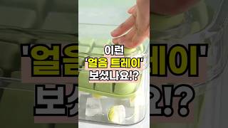 안보면 후회하는 여름철 주방 추천템!! BEST.01👍