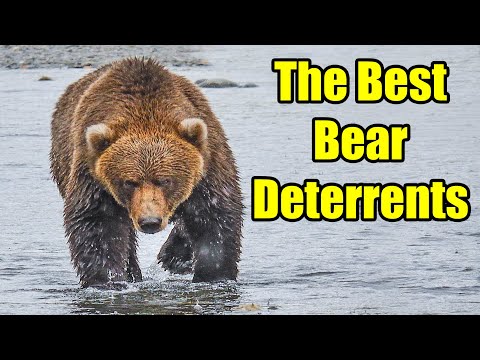 Does fire deter bears?