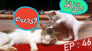 പൂച്ചു അച്ഛൻ ! | Puppykuttan Webseries Malayalam Comedy Short Film EP 46