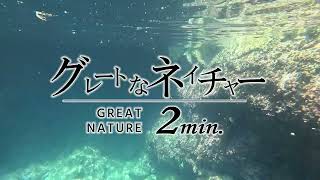 グレートなネイチャー 山陰海岸の洞門