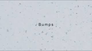 CSIA - Bumps