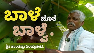 ಬಾಳೆ ರುಚಿ ನೋಡಿ।ಕೆಮಿಕಲ್ ಹಾಕಿಲ್ಲ,ಮುಂದೆ ಹಾಕೊಲ್ಲ।ಸಮಗ್ರ ಕೃಷಿ।Holistic natural farming practice.