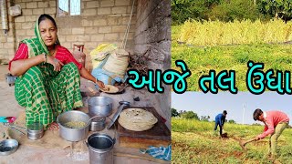 હાલો આજે તલ ઉંધા💐💐Halo today Tsl udha#@Nikita_vlogs1