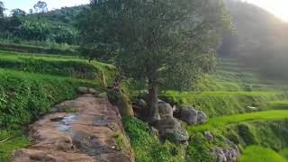 Rayagada Waterfall | Durgapadu Waterfall | Rayagada