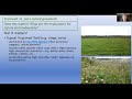 Semi-natural grasslands - precious resources under threat: webinar with Maria Long