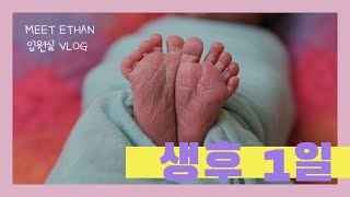 [Eng sub] 생후 1일 ㅣ 출산 직후 입원실 브이로그 ㅣ 아들바보 예약 ㅣ 신생아 촬영 ㅣ 탄생 축하파티 🎉