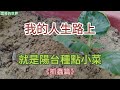 garden farmer庭院菜圃的《除蟲記》，種植過程要如何及時發現蟲害。