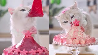 ASMR🥩| 小貓被「牛肉櫻花大沙冰」好吃暈了!!!🍨 Ever seen a kitty with her luxurious smoothie?