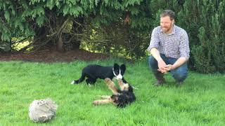 Scottish farmer Jim Smith is game for a laugh as a stand up comedian