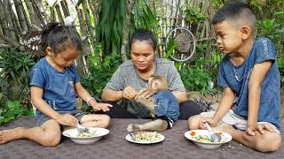 Monkey KOKO - Cute Koko Has Lunch With Family - Koko Eat Rice And Fruits