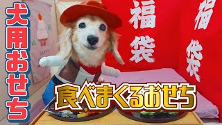 犬おせち #happynewyear #犬おせち #あけおめ #犬用おせち #福袋 #dogvita