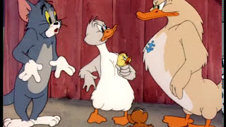 Little Quacker