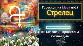 ♐️Стрелец - гороскоп на Март 2025 года. От Юлии Капур