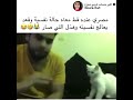 مصري عنده قط معاه حالة نفسية وقعد يعالج نفسيته وهذا لي صار 😂😹