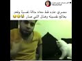 مصري عنده قط معاه حالة نفسية وقعد يعالج نفسيته وهذا لي صار 😂😹