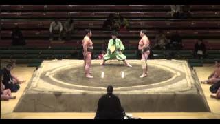 Kaganohana vs Tamakaizan Day 14 Sumo Hatsu Basho January 2014