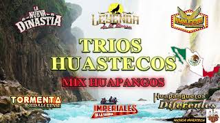 Huapangos Huastecos 2022 Hidalguense🎻Trios Halcon Huasteco, Nueva Dinastia, Huapangueros Diferentes🤠