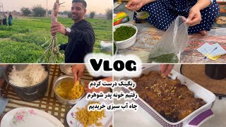 ولاگ /رنگینک درست کردم /مهمونی خونه پدرشوهرم/سبزی خریدم فریز کردم.