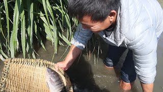 赶海没收获，老四抄着家伙来河流抓鱼，运气太好捞到一顿大餐