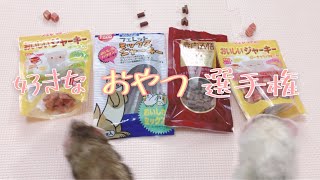 【検証】フェレットが1番好きなおやつはどれ？【favorite snacks】ferret#213