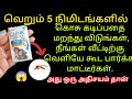 இனி கொசு தொல்லை இல்லை veralevel ஐடியா😇/kosu thollai pogaTips /kitchen tips@keerthisaratips5728