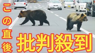 熊出没多発で揺れる北海道猟友会　捕獲要請…狩猟者の安全確保は？