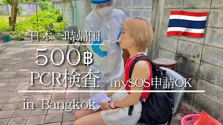 【バンコクPCR検査】MySOS対応激安500バーツ【タイ】