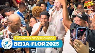 Beija-Flor 2025 Ao Vivo | Encontro de Quilombos - Ensaio de Rua