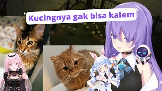 Perbedaan Antara Kucingnya Calli dengan Kucingnya Pekora | Moona Hoshinova Hololive ID