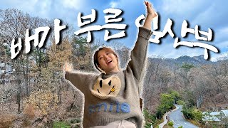 VLOG 임신 말기 배 부른 일상 그리고 임산부 호캉스!