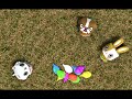 canimals short clip canimals having fun with balloons