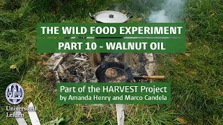 Archaeologist Diederik Pomstra's Wild Food (Palaeodiet) Experiment (part 10): walnut oil