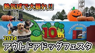 アウトドアドッグフェスタ2024の熱気球で大暴れした【ミニチュアダックスフンド】OUT DOOR DOGFESTA2024