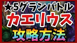 【エレスト】灰燼のカエリウス攻略！★５グランバトル超高難易度