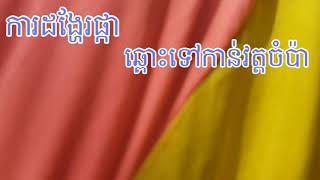 បុណ្យផ្កាប្រាក់សាមគ្គី វត្តចំប៉ា