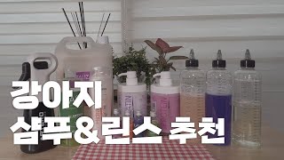 [💈애견미용/애견용품] 강아지 샴푸\u0026린스 추천 | 희석하는 방법(비숑, 말티즈)