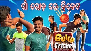 Cricket Gully Gully Ki.....//Pro vs Noob //Village cricket// Barsha Sahu Lifestyle // Angul 🧿